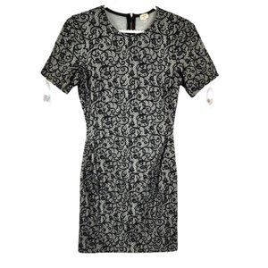 Aritzia Wilfred Lace Mignonne Lace dress